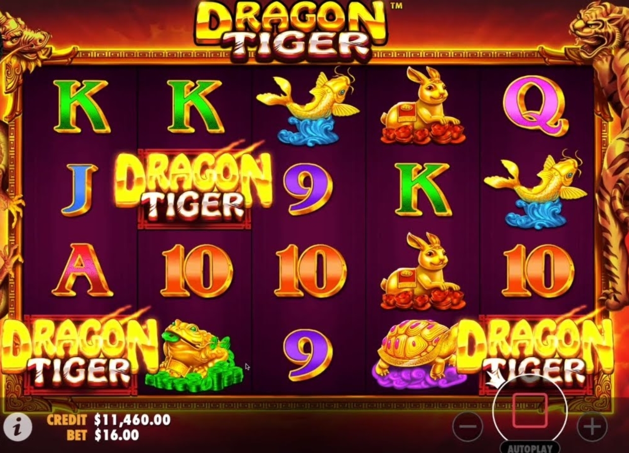 “Dragon Tiger play the game”